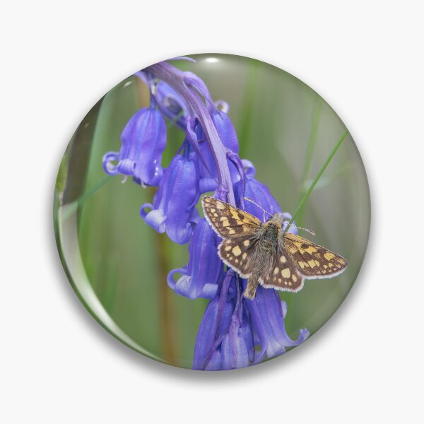 Item preview, Chequered Skipper Butterfly on Bluebell designed and sold by CEastwoodPhotos.
