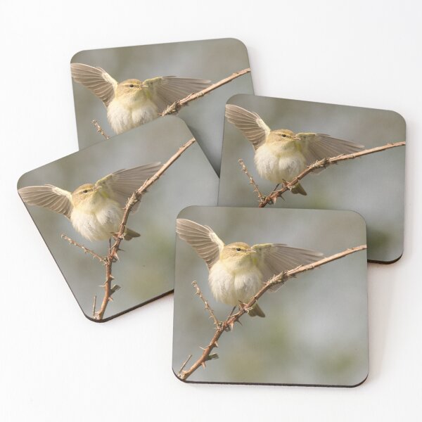 Item preview, Chiffchaff Displaying designed and sold by Scott-Tilley Photography.