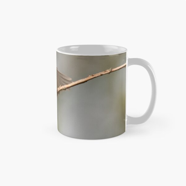 Item preview, Chiffchaff Displaying designed and sold by Scott-Tilley Photography.