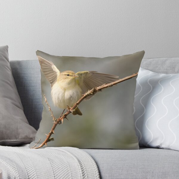 Item preview, Chiffchaff Displaying designed and sold by Scott-Tilley Photography.