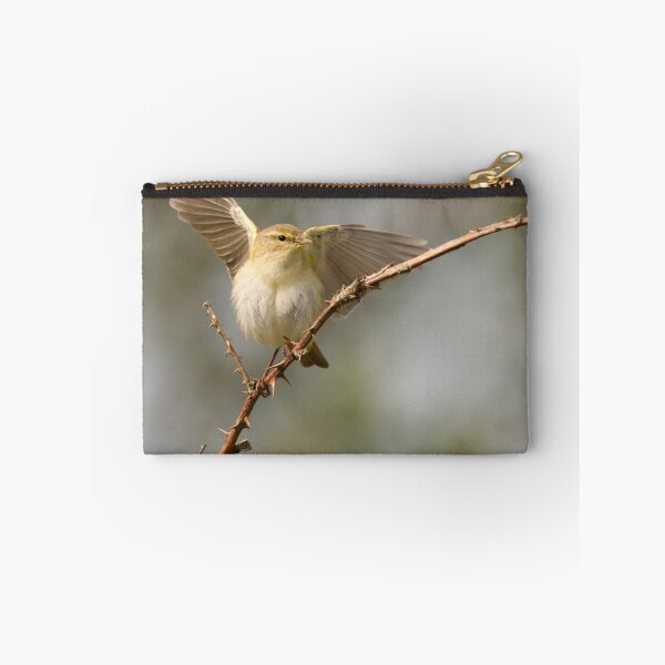 Item preview, Chiffchaff Displaying designed and sold by Scott-Tilley Photography.