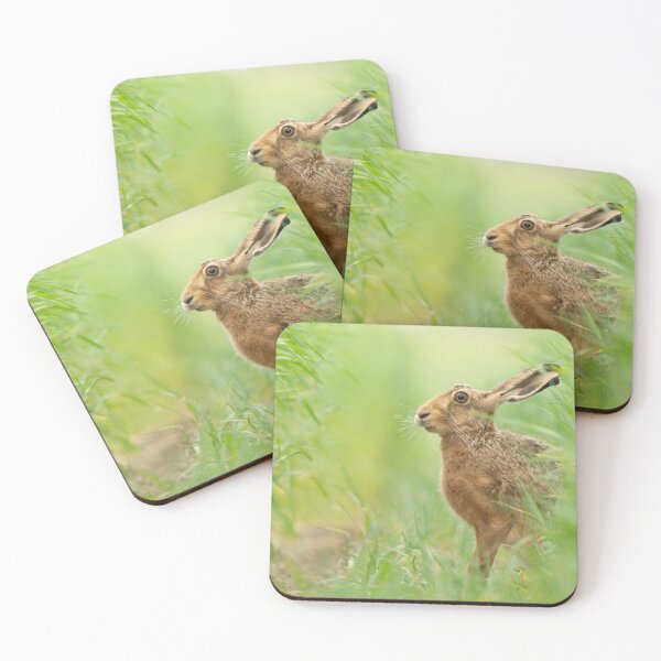 Item preview, Brown Hare in a field of crops designed and sold by Scott-Tilley Photography.