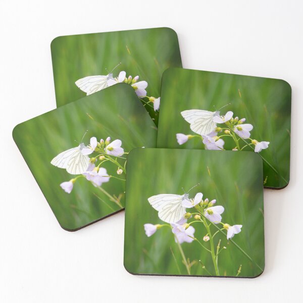Item preview, Green-veined White Butterfly on Cuckooflower designed and sold by CEastwoodPhotos.