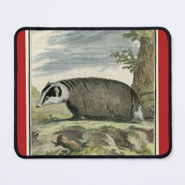 Item preview, Badger drawn in 1780 for Comte de Buffon designed and sold by TerryKerrImages.