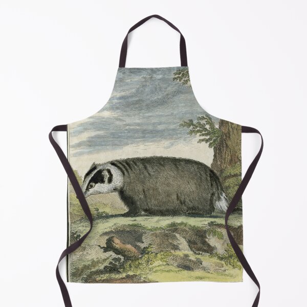 Item preview, Badger drawn in 1780 for Comte de Buffon designed and sold by TerryKerrImages.