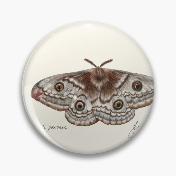 Item preview, Saturnia Emperor Moth Print - Vintage Entomology Naturalist Art designed and sold by Fiurdelin.