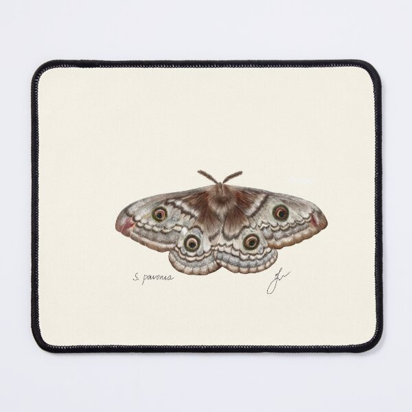 Item preview, Saturnia Emperor Moth Print - Vintage Entomology Naturalist Art designed and sold by Fiurdelin.