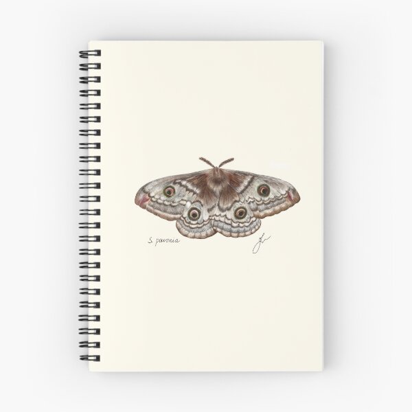 Item preview, Saturnia Emperor Moth Print - Vintage Entomology Naturalist Art designed and sold by Fiurdelin.