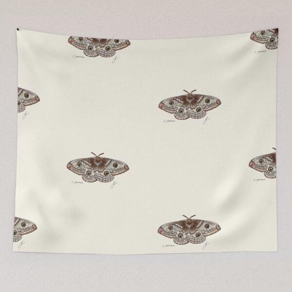 Item preview, Saturnia Emperor Moth Print - Vintage Entomology Naturalist Art designed and sold by Fiurdelin.