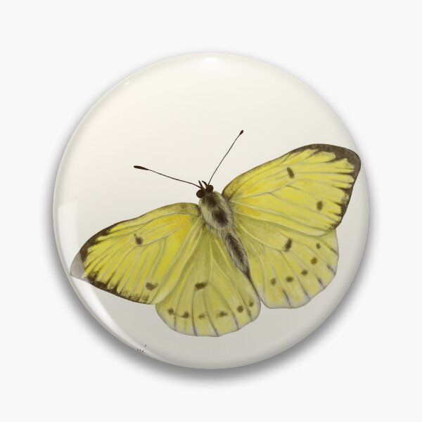 Item preview, Brimstone Butterfly Print - Gonepteryx Entomology Naturalist Art designed and sold by Fiurdelin.