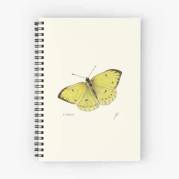 Item preview, Brimstone Butterfly Print - Gonepteryx Entomology Naturalist Art designed and sold by Fiurdelin.