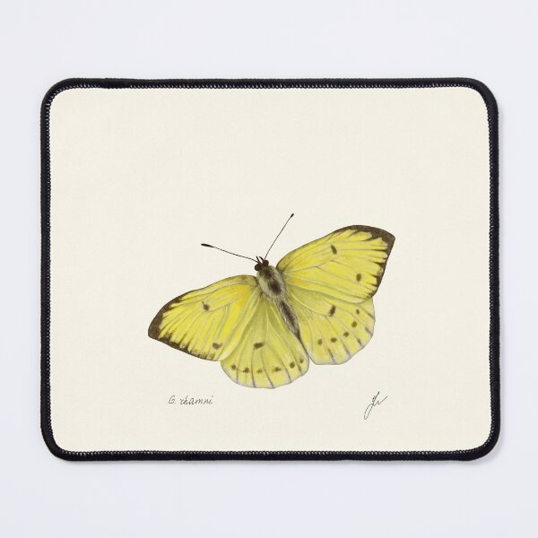 Item preview, Brimstone Butterfly Print - Gonepteryx Entomology Naturalist Art designed and sold by Fiurdelin.