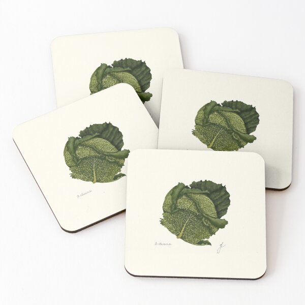 Item preview, Savoy Cabbage Botanical Print - Brassica Kitchen Vegetable Art designed and sold by Fiurdelin.