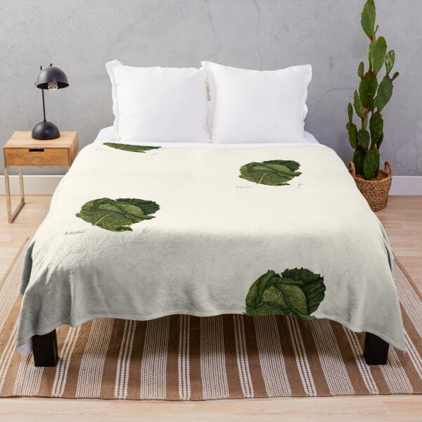 Item preview, Savoy Cabbage Botanical Print - Brassica Kitchen Vegetable Art designed and sold by Fiurdelin.