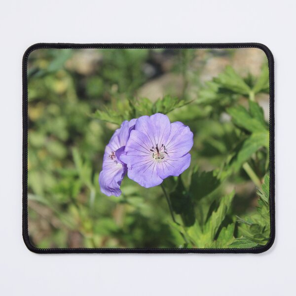 Item preview, Soft Blue Geranium Bloom - Nature photography designed and sold by Cha-s-lens.