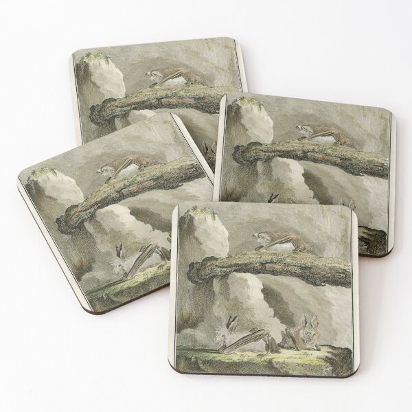 Item preview, Bats drawn in 1780 for Comte de Buffon designed and sold by TerryKerrImages.