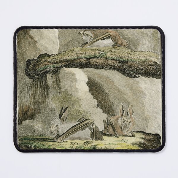 Item preview, Bats drawn in 1780 for Comte de Buffon designed and sold by TerryKerrImages.