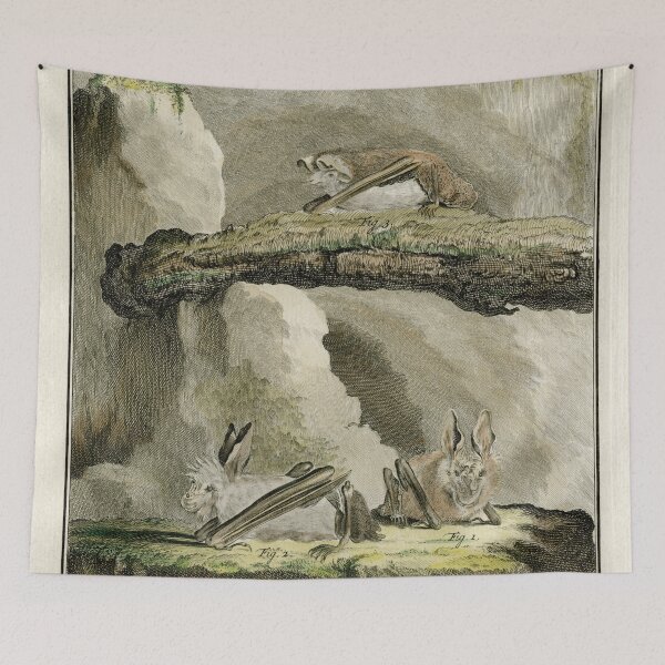 Item preview, Bats drawn in 1780 for Comte de Buffon designed and sold by TerryKerrImages.