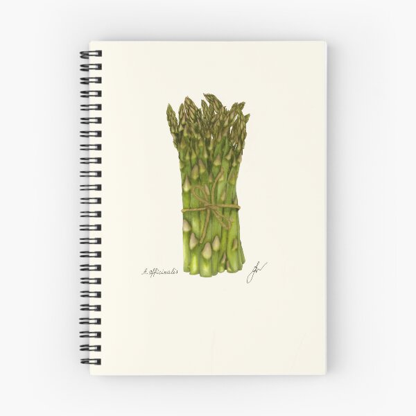 Item preview, Asparagus Botanical Print - Officinalis Kitchen Vegetable Art designed and sold by Fiurdelin.