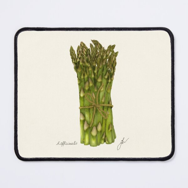 Item preview, Asparagus Botanical Print - Officinalis Kitchen Vegetable Art designed and sold by Fiurdelin.