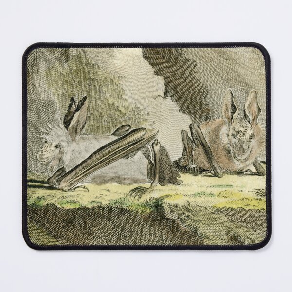 Item preview, Bats with big ears, drawn in 1780 designed and sold by TerryKerrImages.