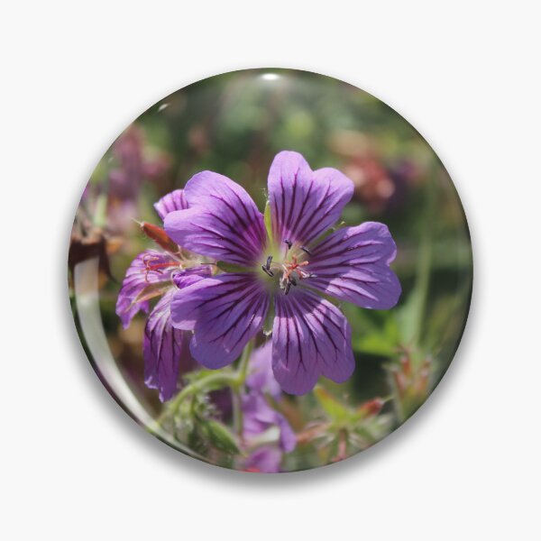 Item preview, Vibrant Purple Cranesbill Geranium - Soft nature photography designed and sold by Cha-s-lens.