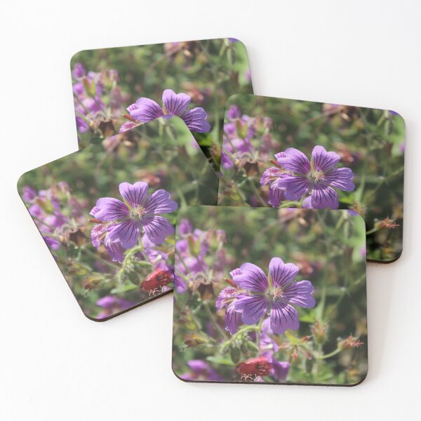 Item preview, Vibrant Purple Cranesbill Geranium - Soft nature photography designed and sold by Cha-s-lens.