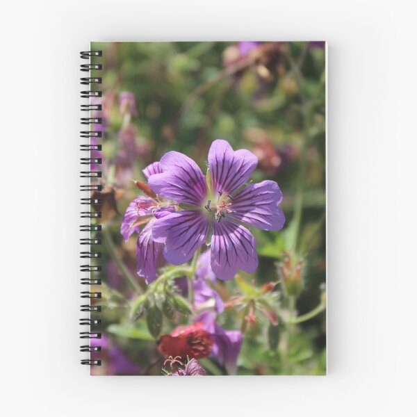 Item preview, Vibrant Purple Cranesbill Geranium - Soft nature photography designed and sold by Cha-s-lens.