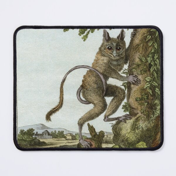 Item preview, Tarsier drawn in 1780 for Comte de Buffon designed and sold by TerryKerrImages.
