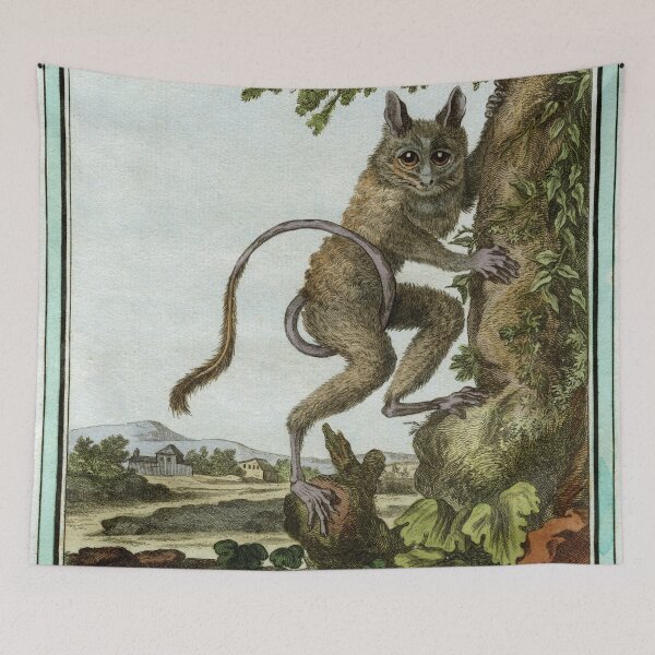 Item preview, Tarsier drawn in 1780 for Comte de Buffon designed and sold by TerryKerrImages.