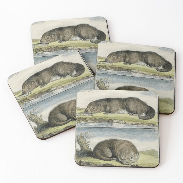 Item preview, Otters, drawn in 1780 for Comte de Buffon designed and sold by TerryKerrImages.
