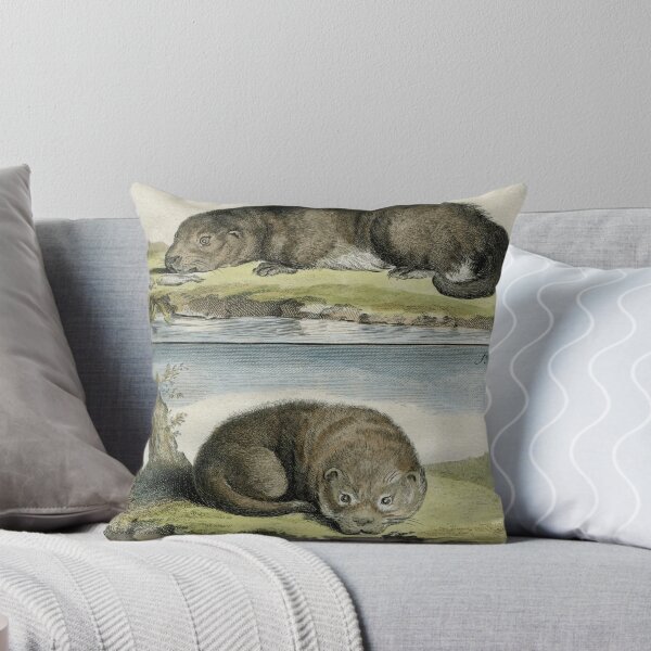 Item preview, Otters, drawn in 1780 for Comte de Buffon designed and sold by TerryKerrImages.