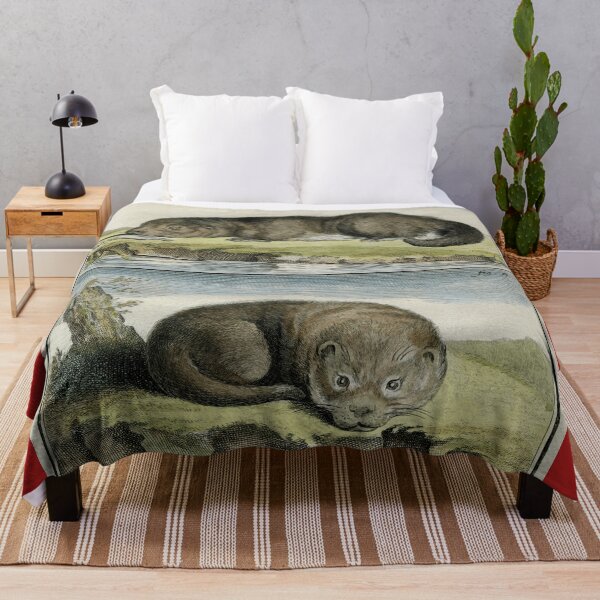 Item preview, Otters, drawn in 1780 for Comte de Buffon designed and sold by TerryKerrImages.