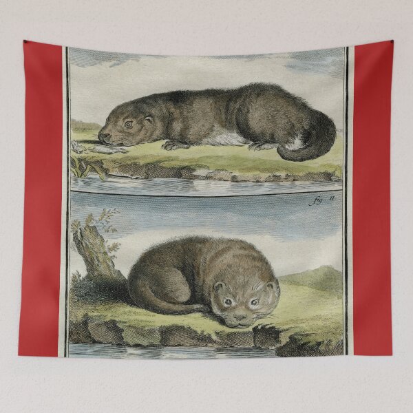 Item preview, Otters, drawn in 1780 for Comte de Buffon designed and sold by TerryKerrImages.