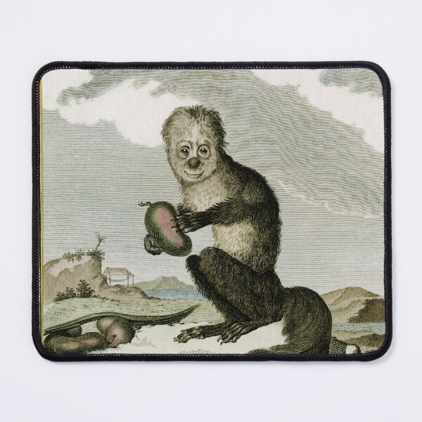 Item preview, Saki monkey, drawn 1780 for Comte de Buffon designed and sold by TerryKerrImages.
