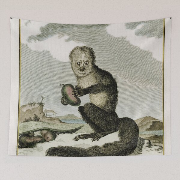 Item preview, Saki monkey, drawn 1780 for Comte de Buffon designed and sold by TerryKerrImages.