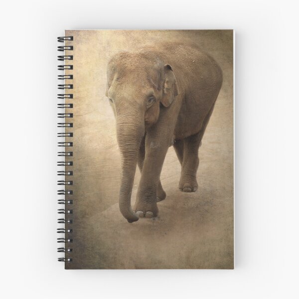 Item preview, Matriarch designed and sold by Carol Bleasdale.