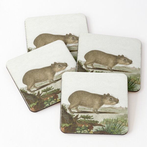 Item preview, Capybara, drawn in 1780 for Comte de Buffon designed and sold by TerryKerrImages.