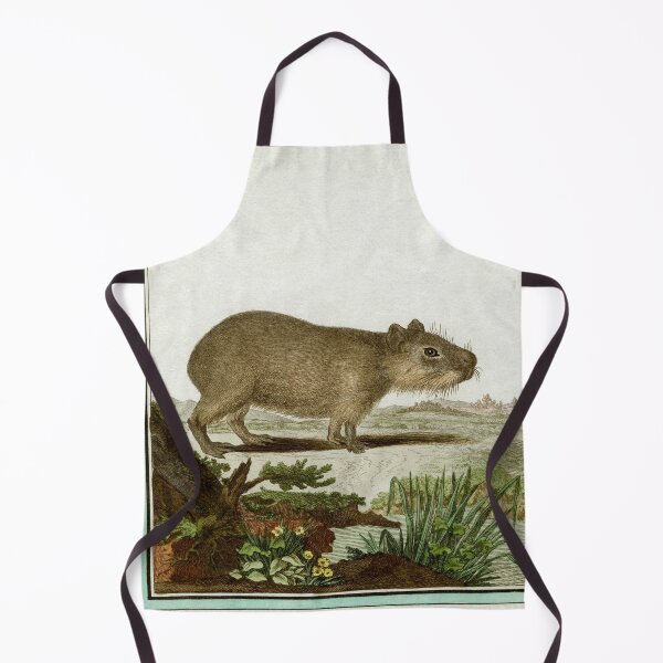 Item preview, Capybara, drawn in 1780 for Comte de Buffon designed and sold by TerryKerrImages.