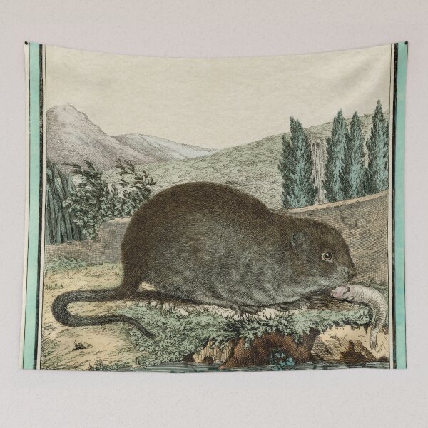 Item preview, Water Vole, drawn 1780 for Comte de Buffon designed and sold by TerryKerrImages.