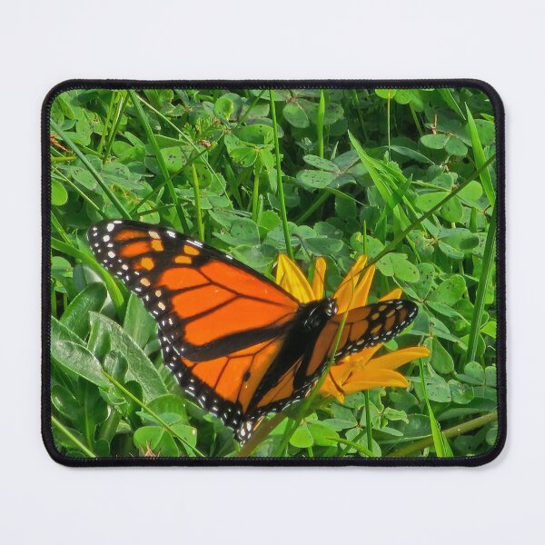 Item preview, Monarch Butterfly on Wildflower designed and sold by SNJ-LIFE.