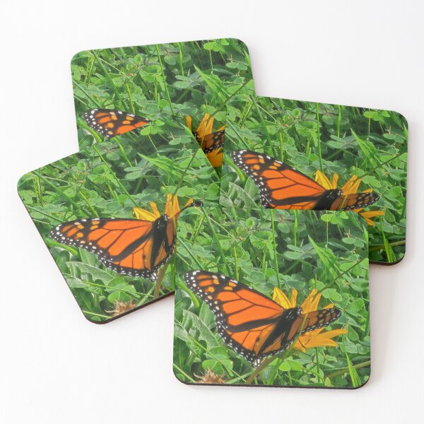 Item preview, Monarch Butterfly on Wildflower designed and sold by SNJ-LIFE.