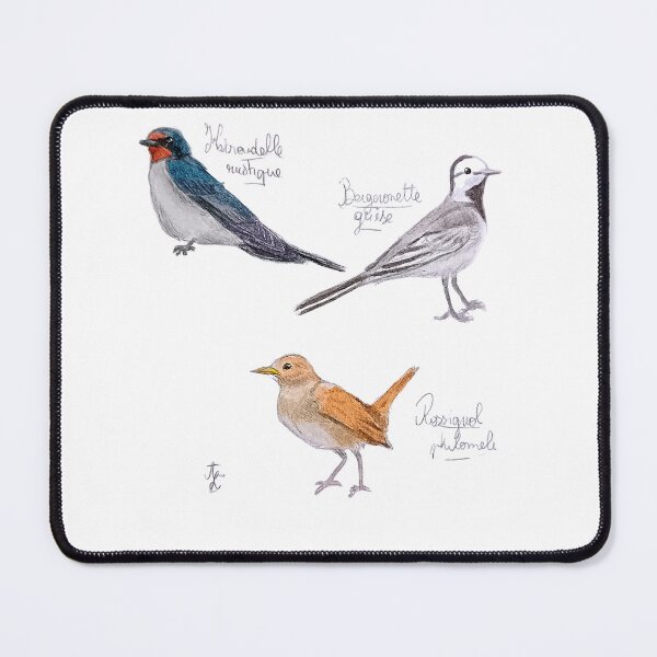 Item preview, Swallow, wagtail and nightingale designed and sold by Les illustrations d'Adėle L..