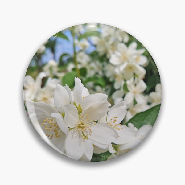 Item preview, Mock Orange blossoms designed and sold by psychoshadow.