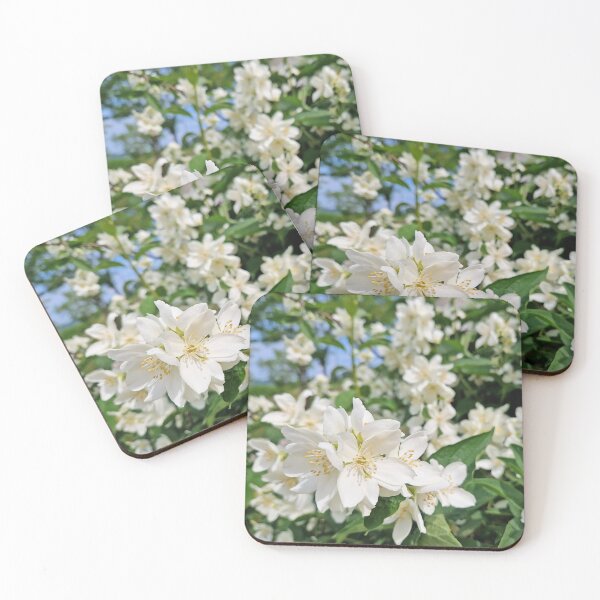 Item preview, Mock Orange blossoms designed and sold by psychoshadow.
