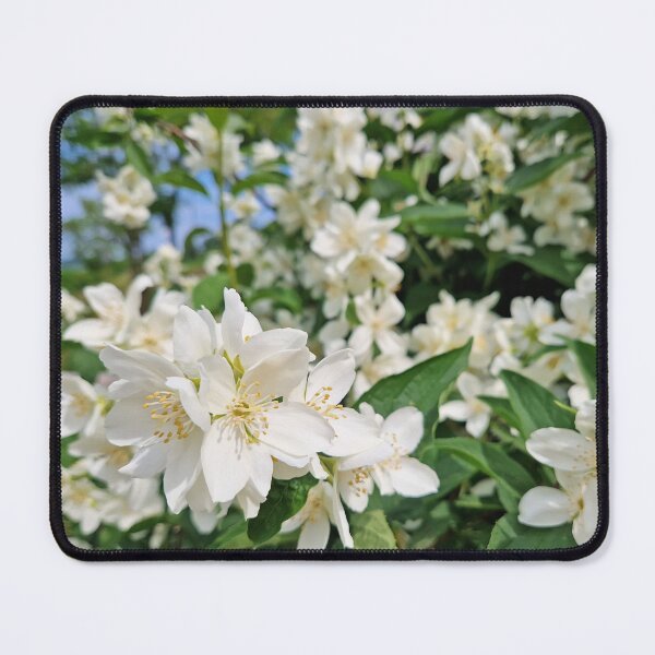 Item preview, Mock Orange blossoms designed and sold by psychoshadow.