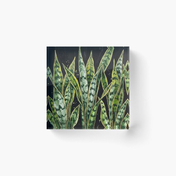Item preview, Snake Plant  designed and sold by GraphicsClub.