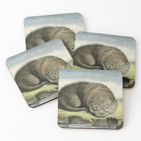 Item preview,  Otter drawn in 1780 for natural history study designed and sold by TerryKerrImages.