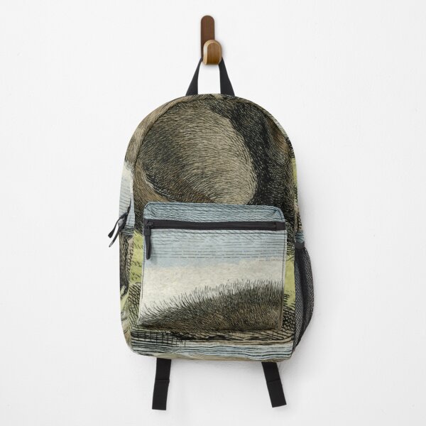 Item preview,  Otter drawn in 1780 for natural history study designed and sold by TerryKerrImages.