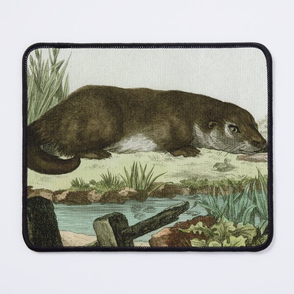 Item preview, Otter watches and waits, drawn in 18th century designed and sold by TerryKerrImages.